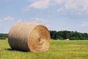 bales of hay